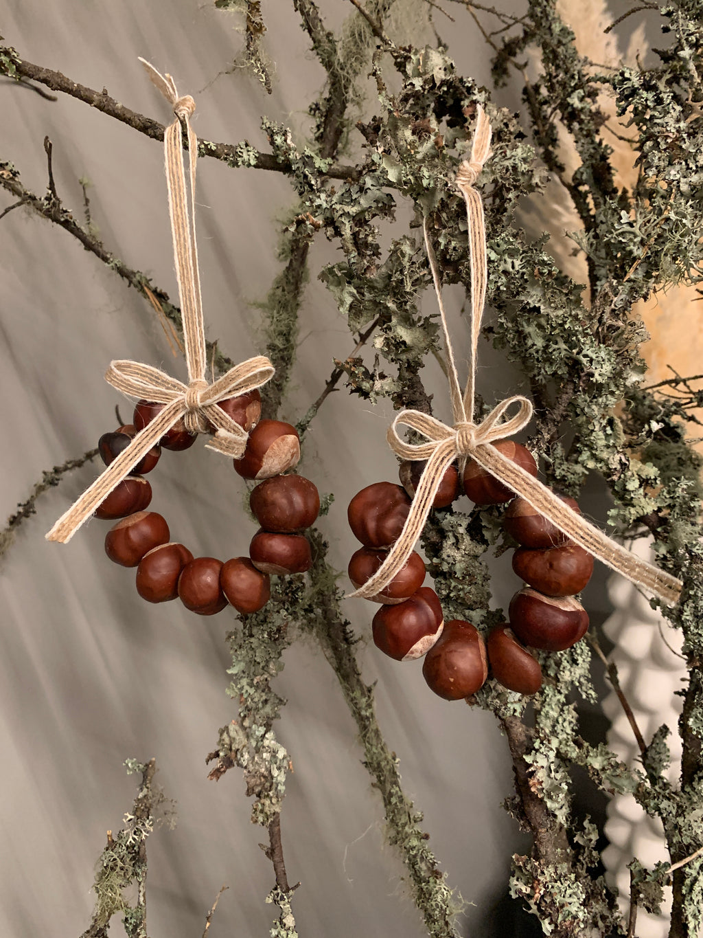 Kastanjekrans, liten