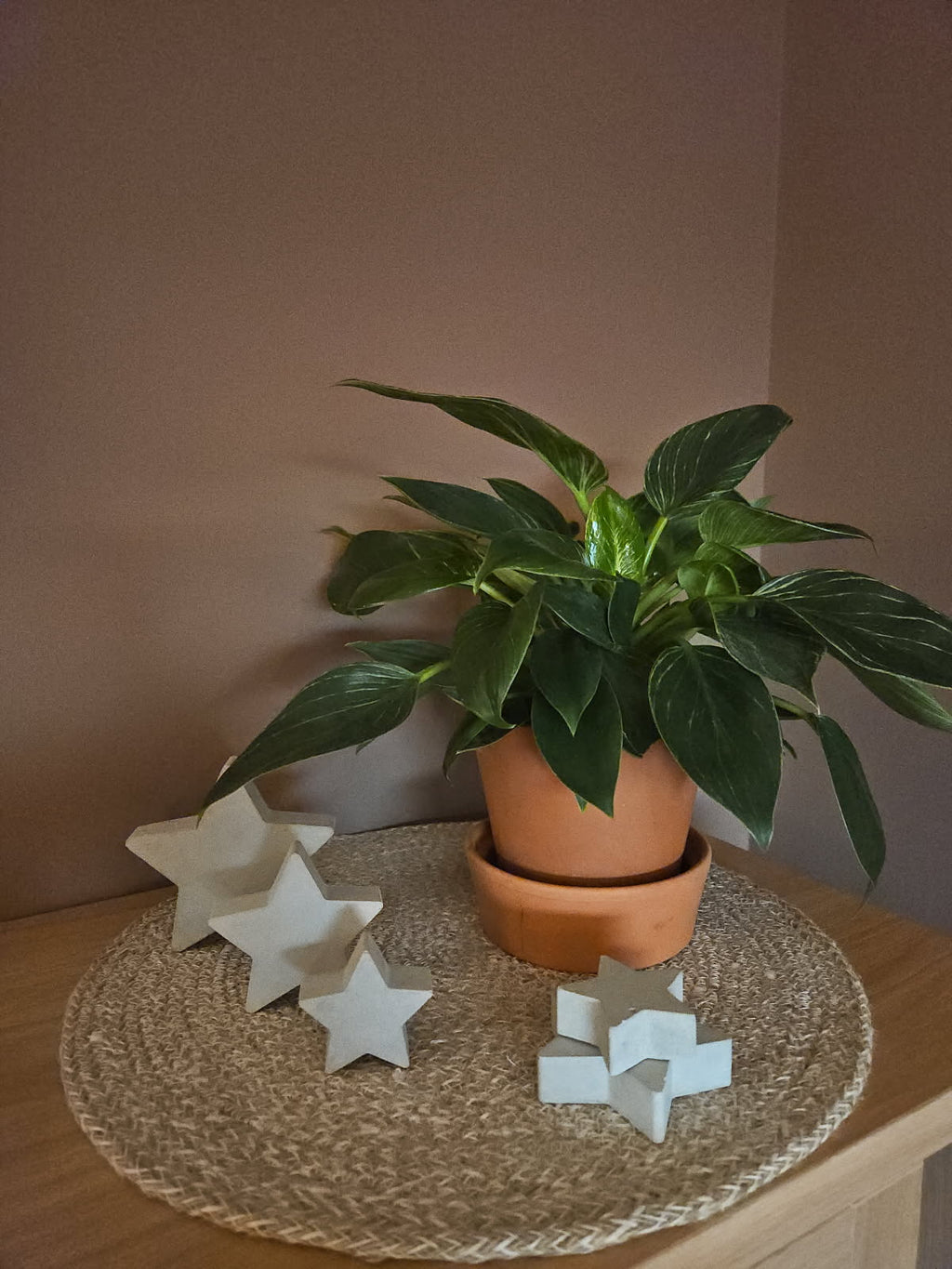 Dekorstjerne, medium