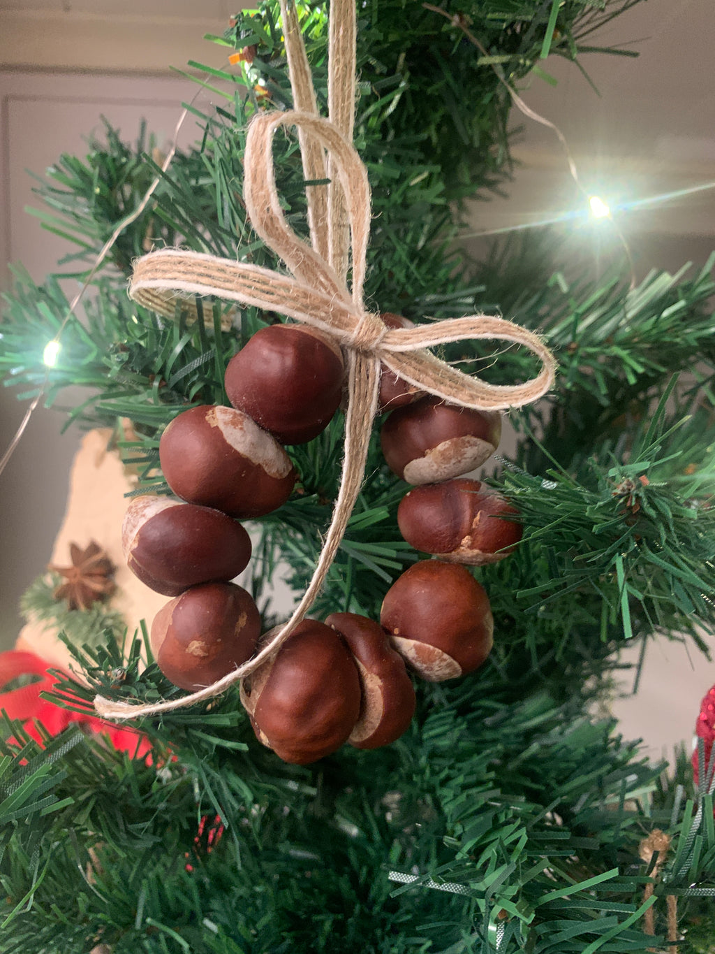 Kastanjekrans, liten