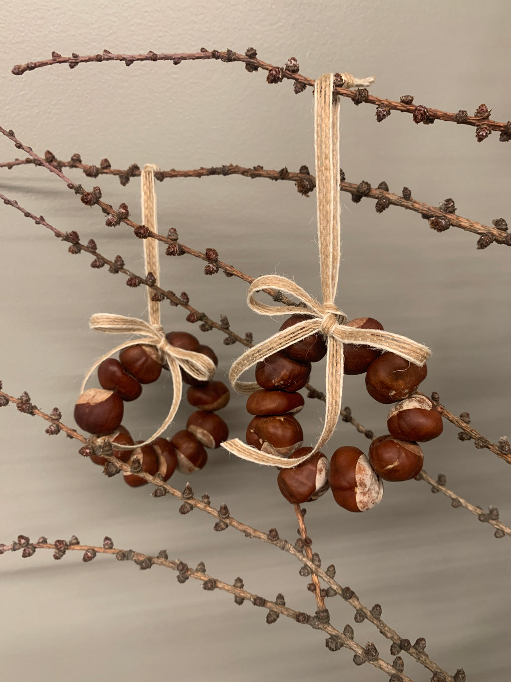 Kastanjekrans, liten